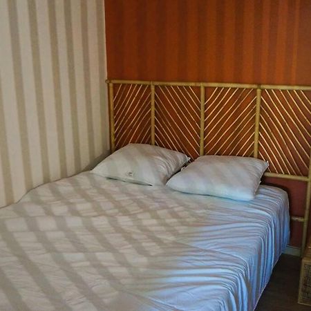 Studio Climatise Et Spacieux Situe Pres Des Parcs Vichy Ngoại thất bức ảnh