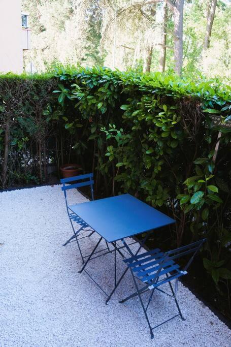 Studio Climatise Et Spacieux Situe Pres Des Parcs Vichy Ngoại thất bức ảnh